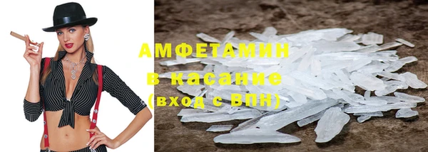 трава Белокуриха