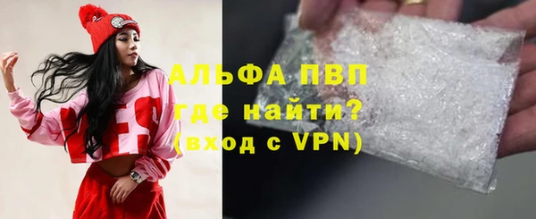 прущие грибы Баксан