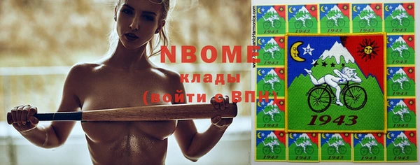 трава Белокуриха