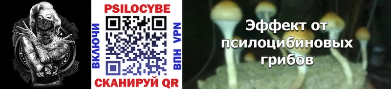 Галлюциногенные грибы Cubensis Коммунар